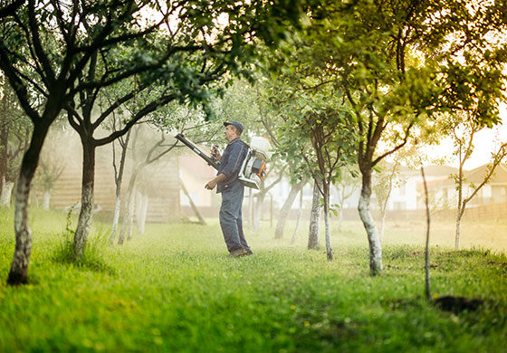 AdobeStock_163785773